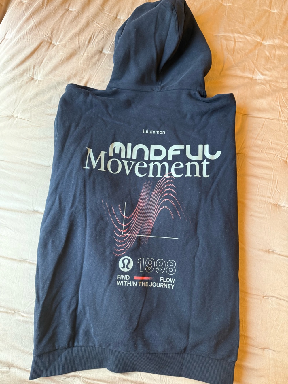 Lululemon Steady State Pullover Hoodie Graphic - Picture 5 of 7